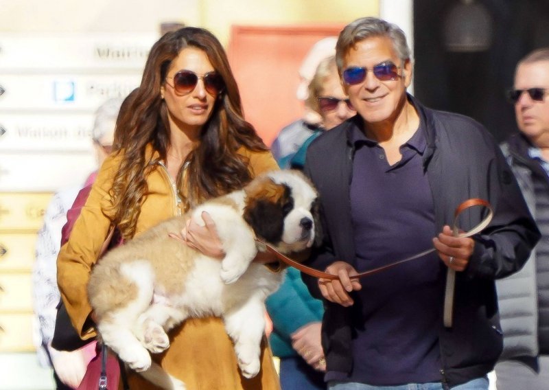 Tvrdoglavi Nelson: Novi član obitelji zadaje prave muke Clooneyjevima