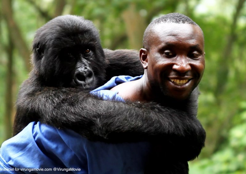 Kandidat za Oscara 'Virunga' na ZagrebDoxu